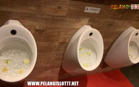 Penampakan Toilet Ini Jadi Sorotan, Warganet : Nanti Dikira Lemon Squash
