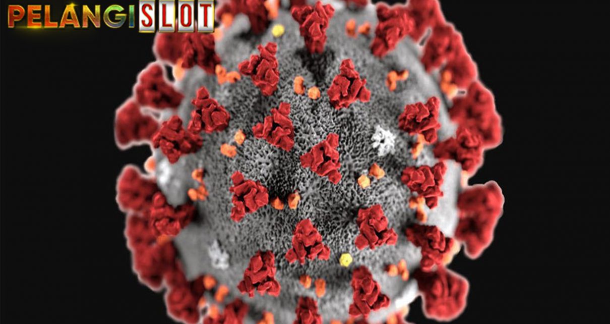 Sejak merebaknya kasus Virus Corona alias Covid19