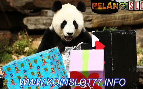 Rayakan Ulang Tahun Ke-38, Panda Tertua di Dunia Ini Telah Miliki 153 Keturunan