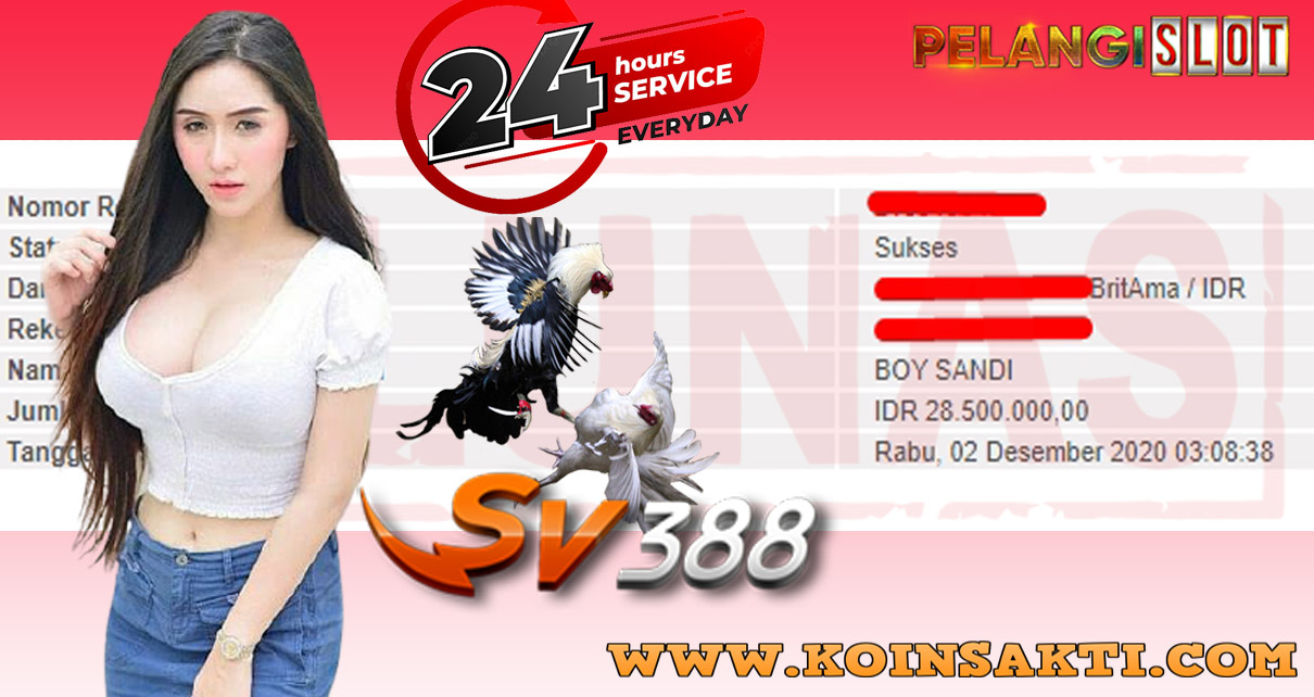 SABUNG AYAM SV388