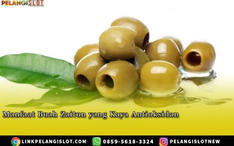 PELANGISLOT Manfaat Buah Zaitun yang Kaya Antioksidan