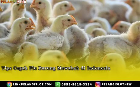 Tips Cegah Flu Burung Mewabah di Indonesia