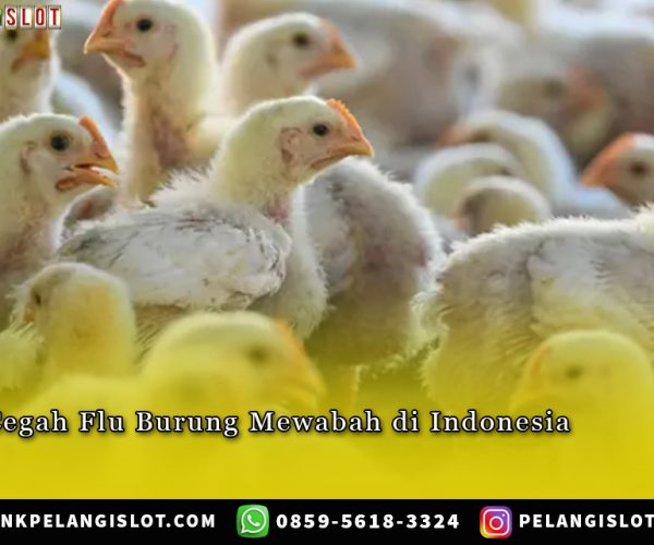 Tips Cegah Flu Burung Mewabah di Indonesia